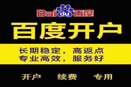 百度竞价投放效果评估及案例解读